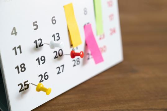 Vereinsringkalender 2025