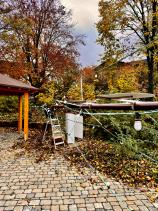 Umrüstung Maibaum zum Adventsbaum